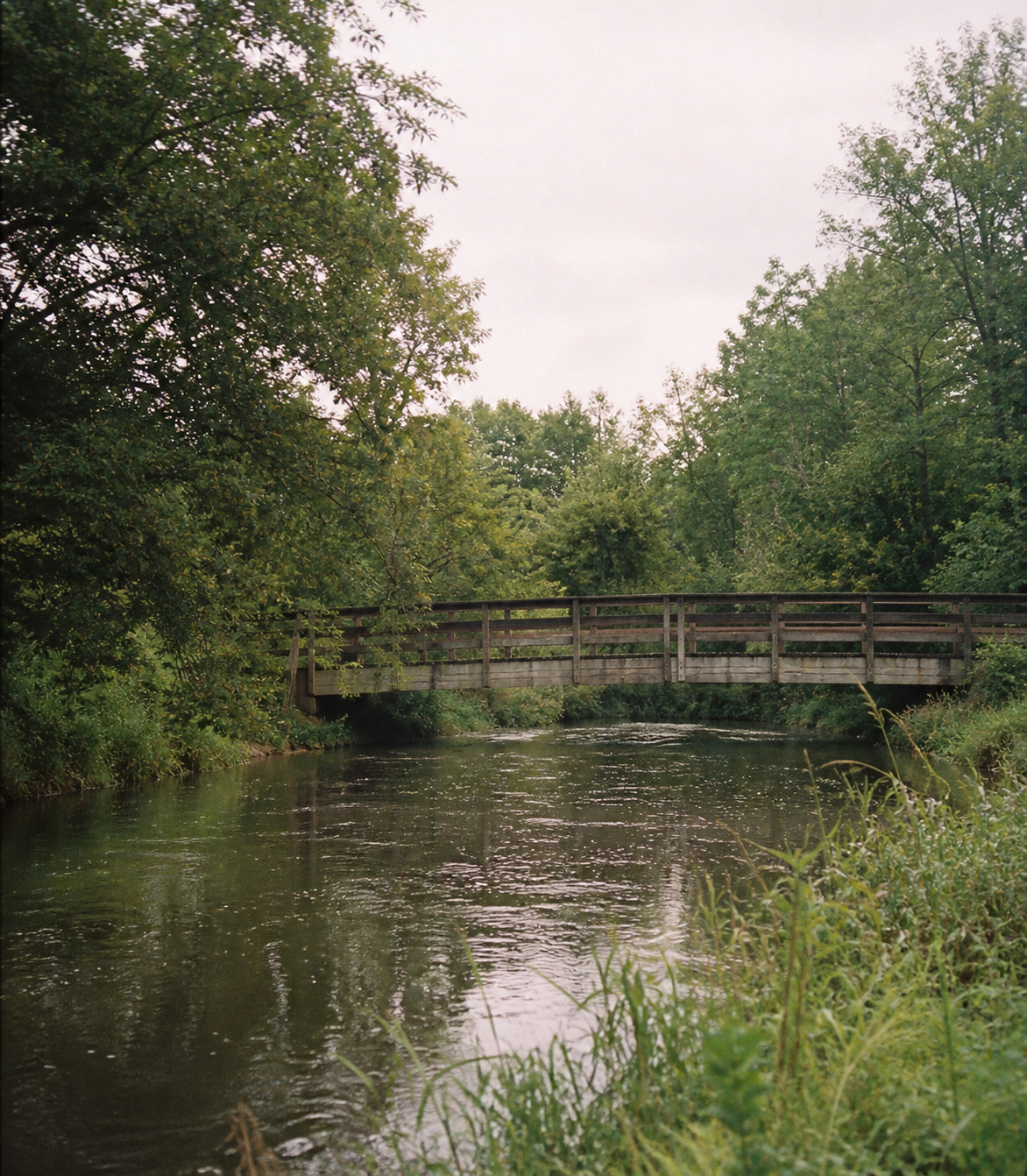 A quiet western Michigan river and wooden footbridge