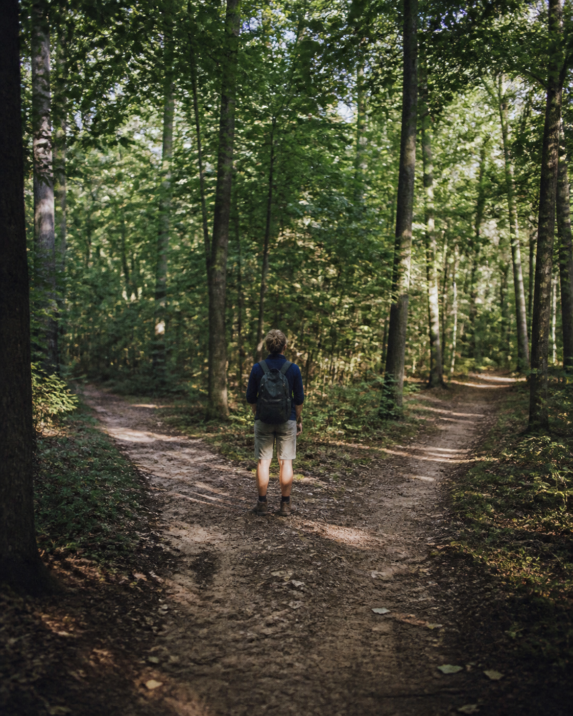 A person pausing where a wooded trail divides